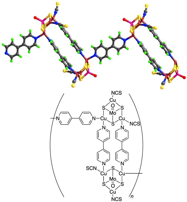 coordination network