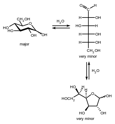 molecule