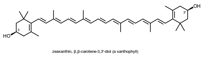 molecule