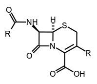 molecule
