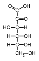 molecule