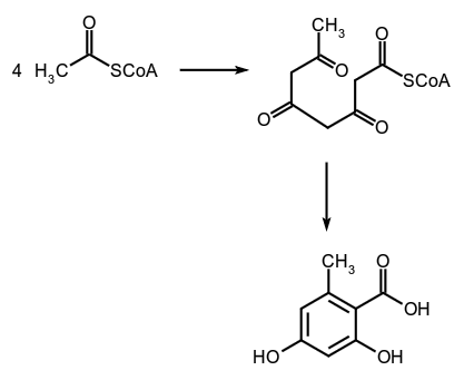 molecule