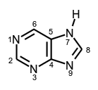 molecule