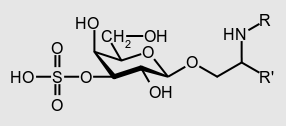 sulfatides